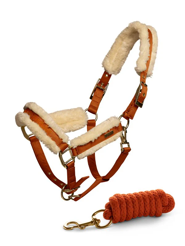 Bronze-Gold-Fur-Halter-And-Lead-Rope