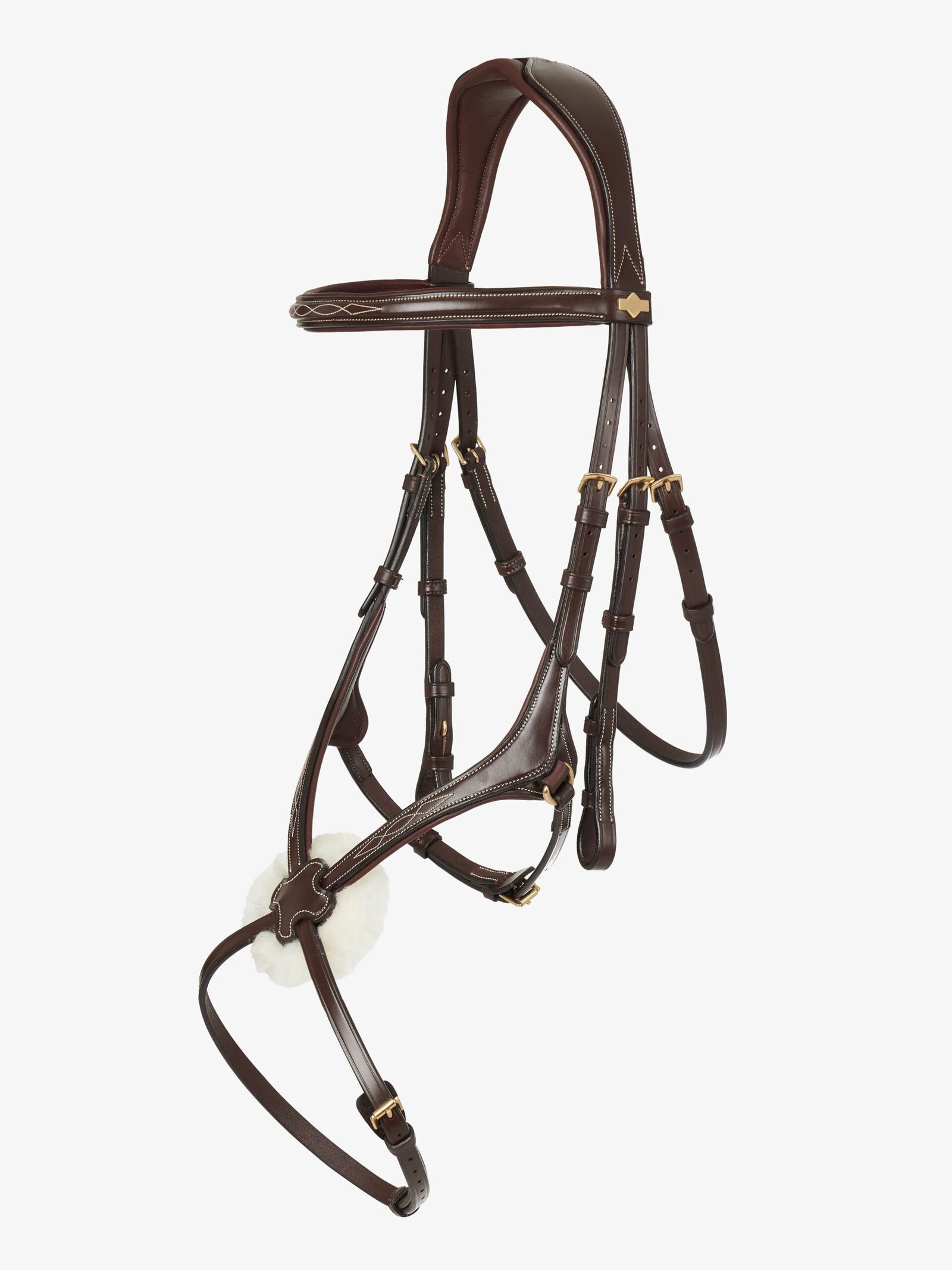 Brown-Bridle (1)