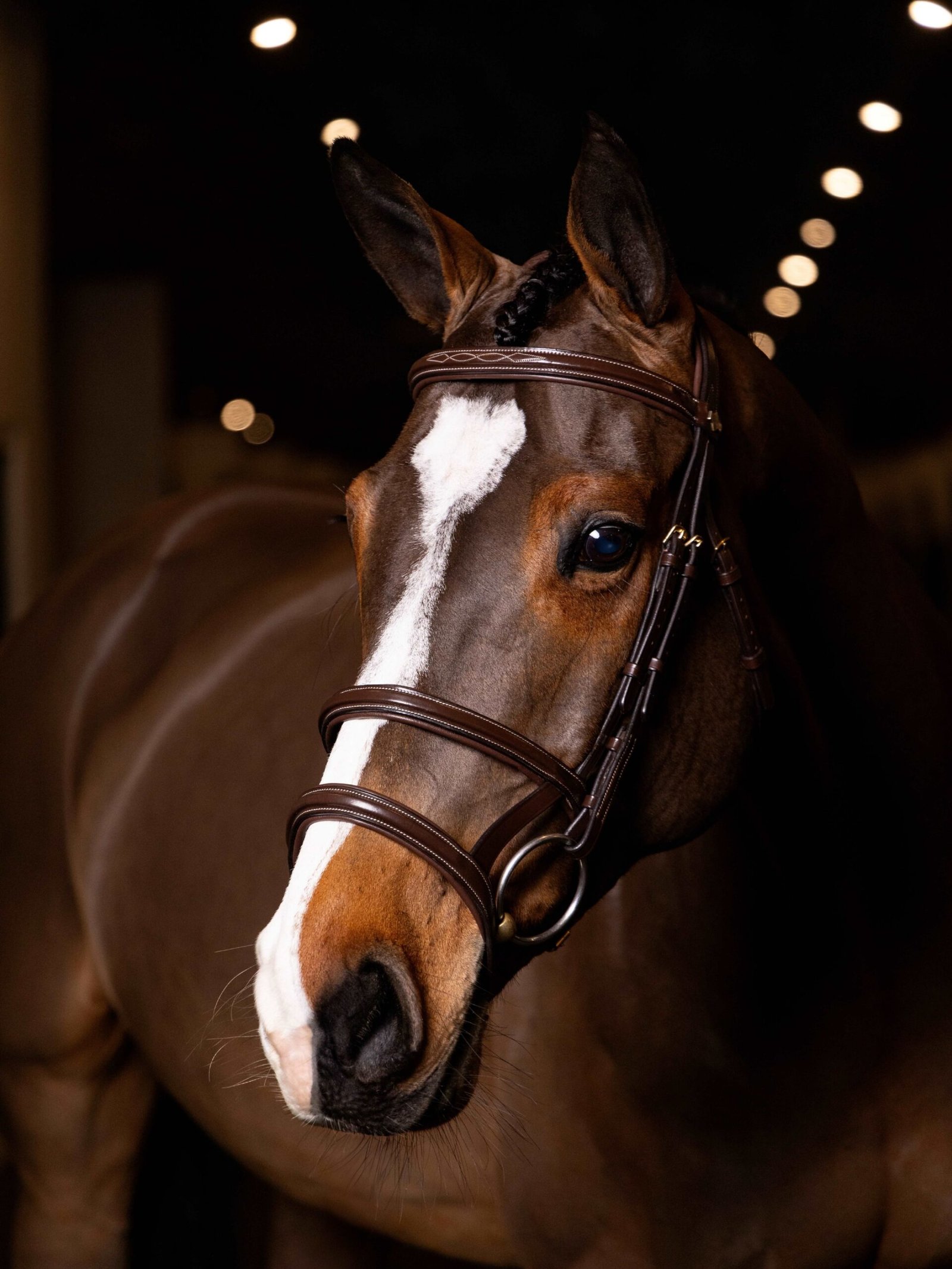 Double-Nose-Band-Havana-Bridle-02