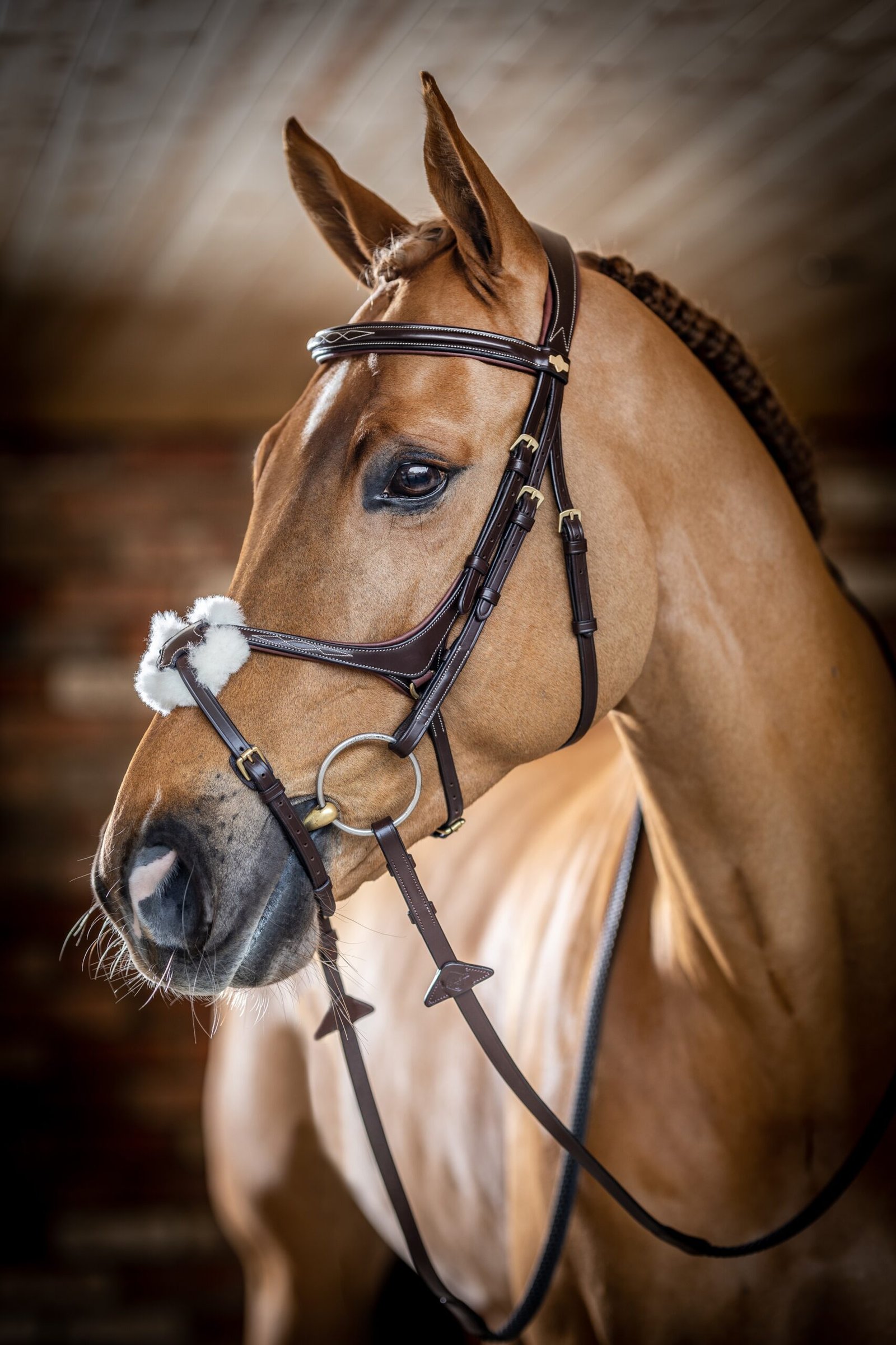Horsing-Wearing-Brown-Bridle-03 (1)