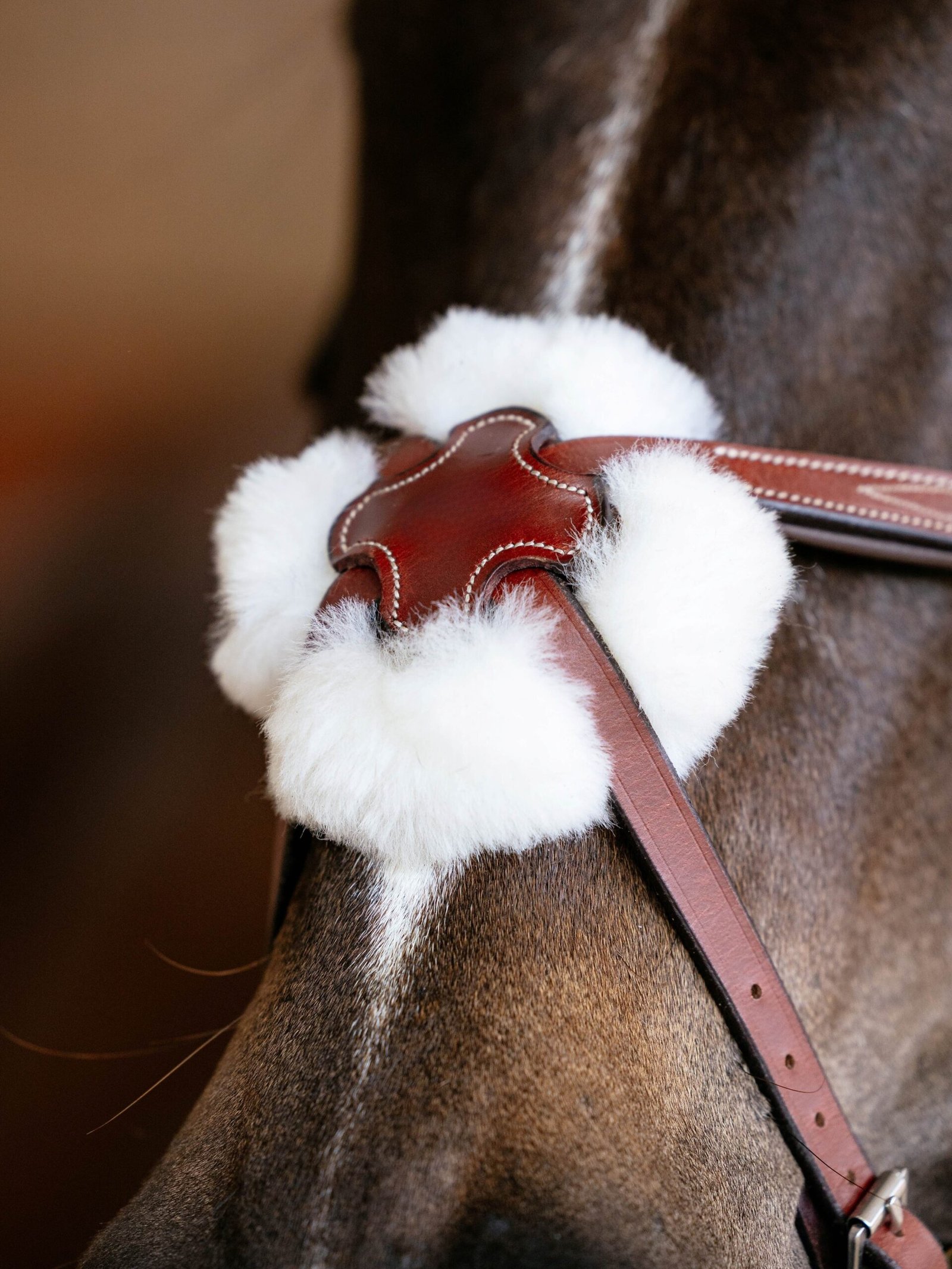 Horsing-Wearing-Chestnut-Bridle-02