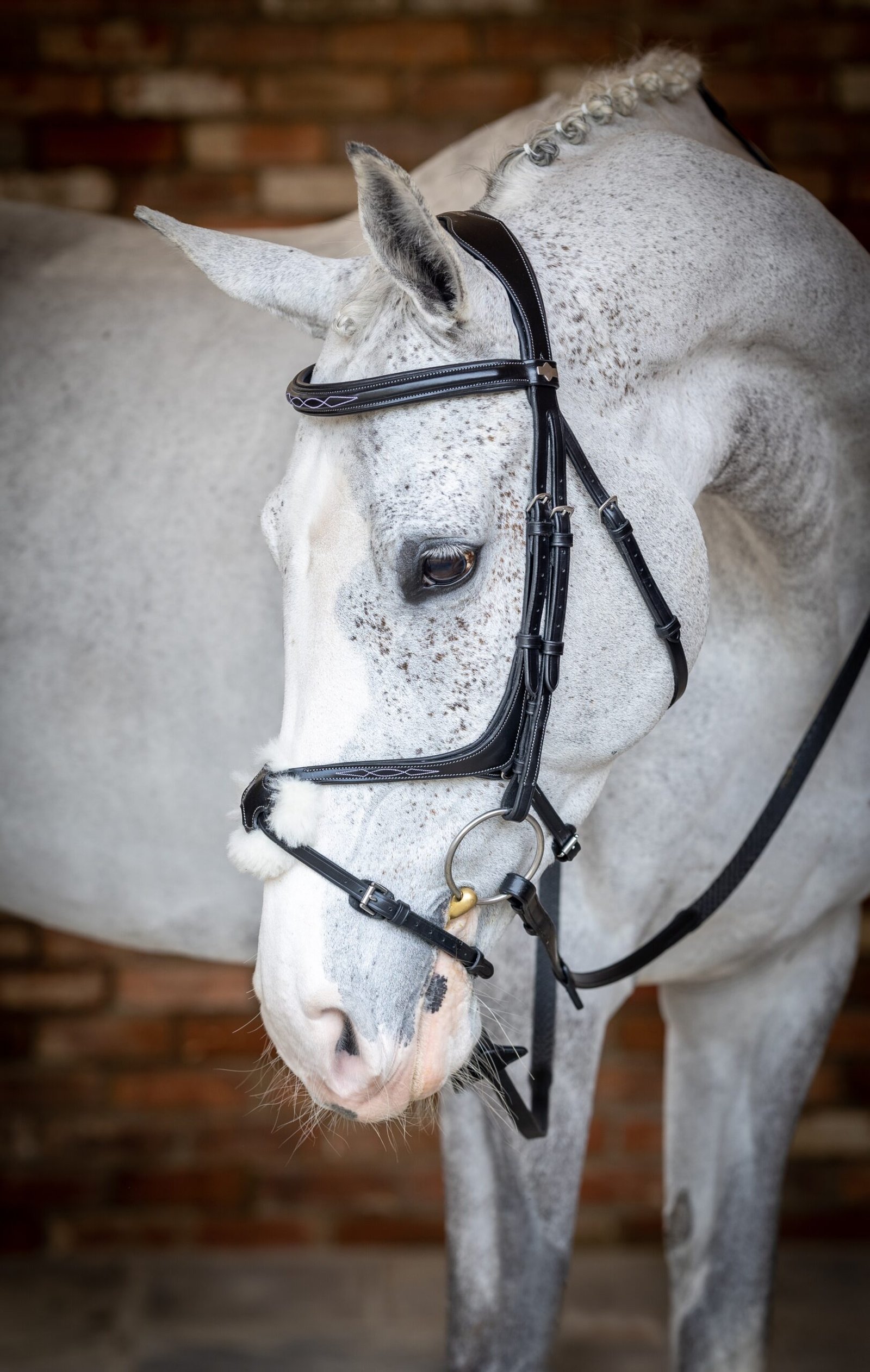 Horsing-Wearing-Fur-Black-Bridle-03